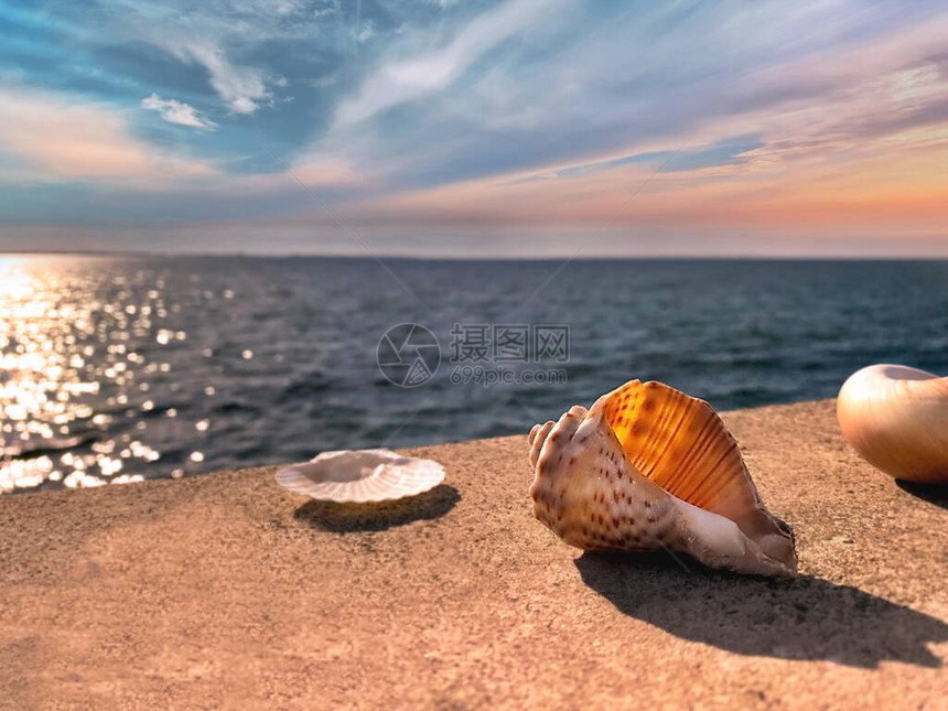 海上日落和蓝色大海石岩上的贝壳夏天反射在水波多云蓝色金图片