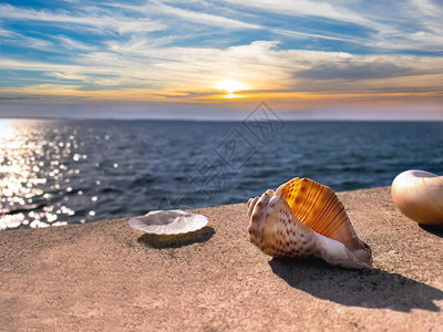 海上日落和蓝色大海石岩上的贝壳夏天太阳反射在水波多云蓝色金图片