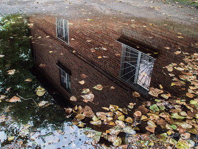 公寓的房子倒映在落叶的水坑里图片