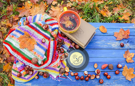 黄陶瓷杯草药茶和古老的树木本底黑乙烯胶唱片的秋天成分图片