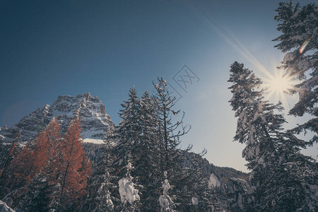 多洛米特的冬季风景圣诞气氛Unesco世界遗产图片