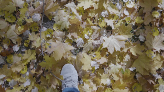 穿鞋的人正在公园走在秋天的户外图片