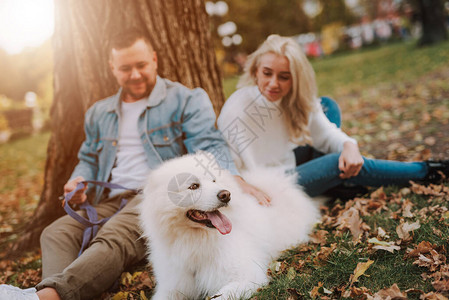 带着白毛小狗在秋天公园的树下坐在树下图片