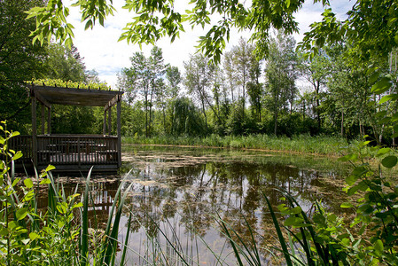 景观池塘的风景图片