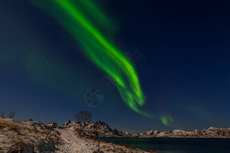 Aurorabeatalis横越峡湾山脉天空上有许多星在挪威的洛福登图片