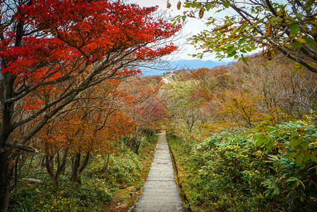 美丽的秋天风景科莫诺的戈图片
