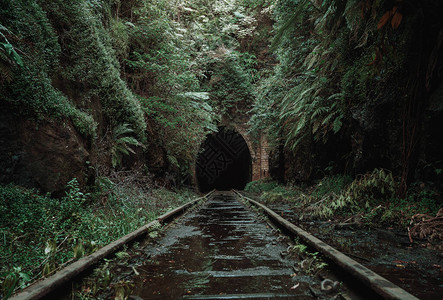 热带森林中古老废弃的铁路隧道图片