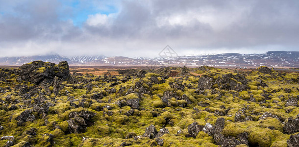 冰岛地貌覆盖着斯奈费勒斯半岛冰原上图片