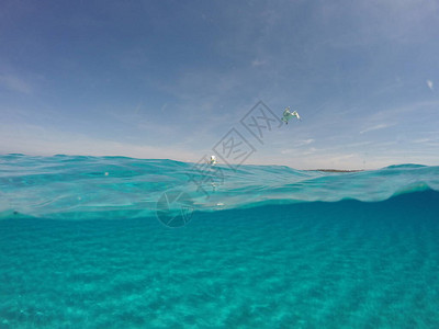 撒丁岛水下白沙令人惊叹的蓝海斯廷蒂诺海鸥全景背带复制空图片