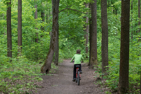 男孩在深绿色的森林里骑自行车图片