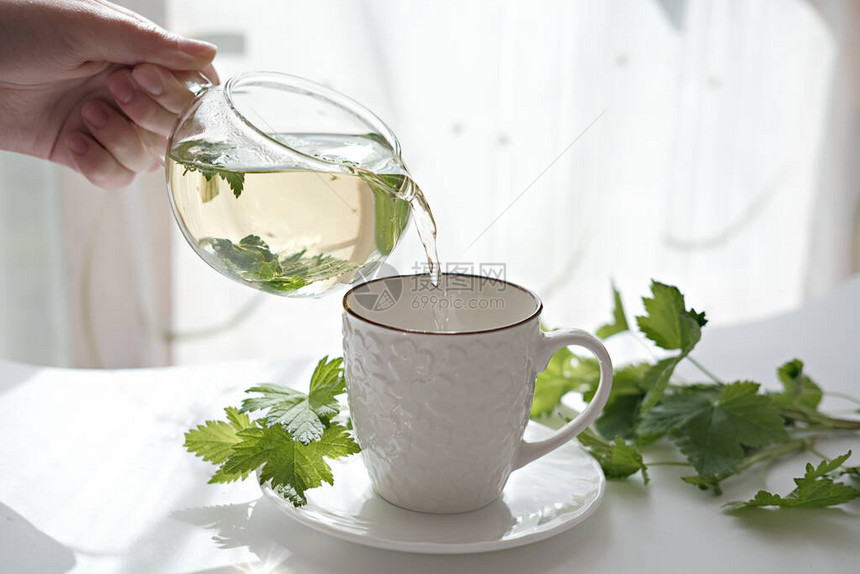 手拿着凉茶放在玻璃茶壶里倒入杯中黑醋栗叶放在一个透明的锅里夏季治愈茶镇静和舒缓的饮料图片