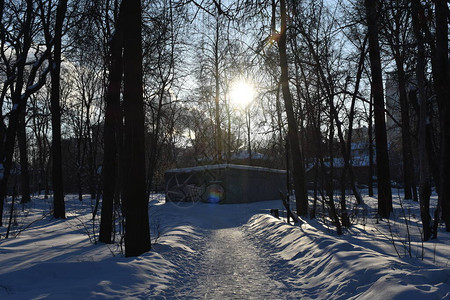 冬季公园的日落图片