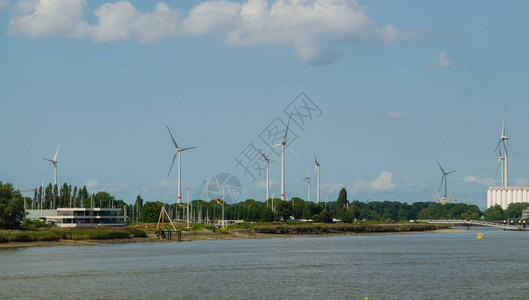 安特卫普比利时佛兰德斯2019年8月Sclavedt河岸的风力图片