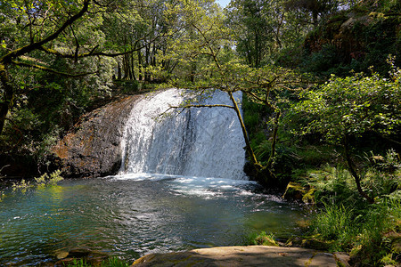 森林中的瀑布和小河背景图片