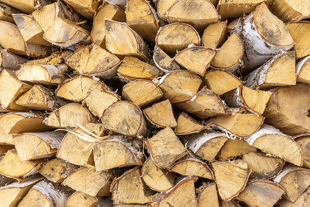 木林砍伐森林主题木材工业砍图片