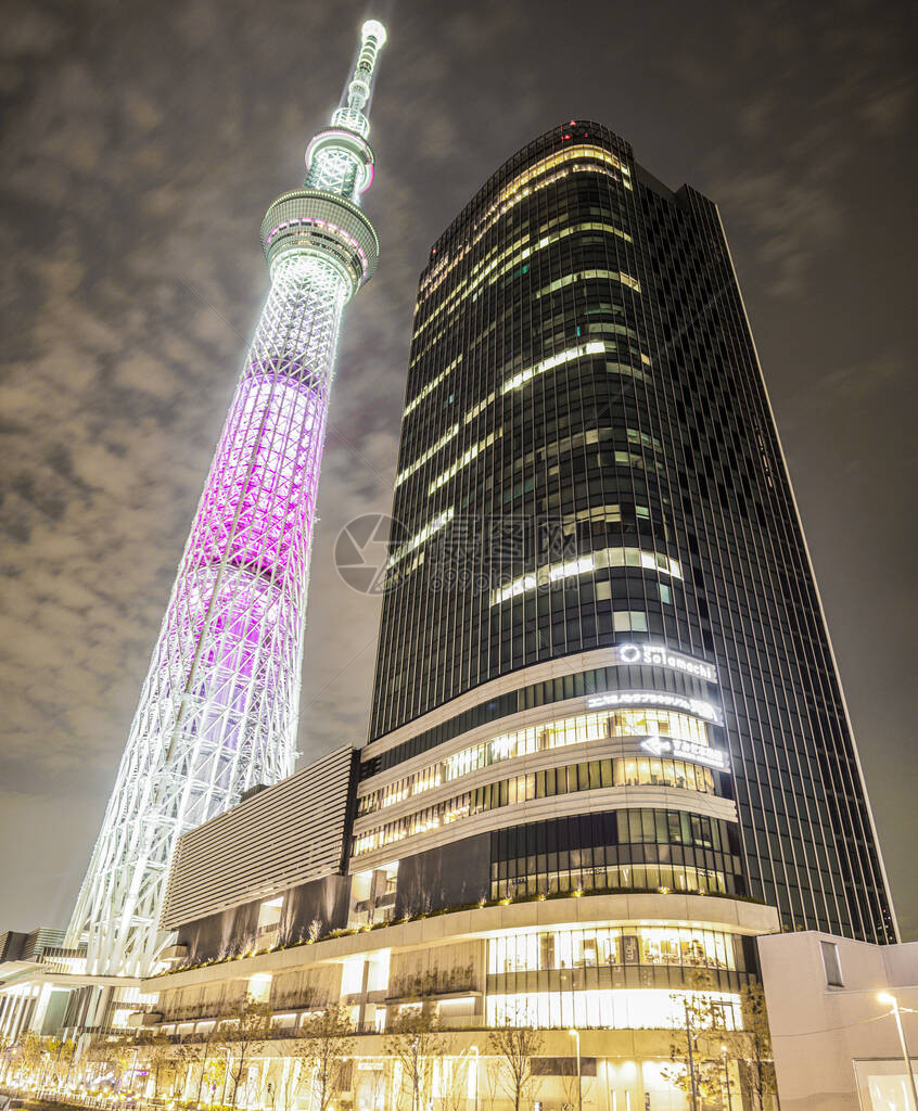 东京晴空塔的灯光夜景图片