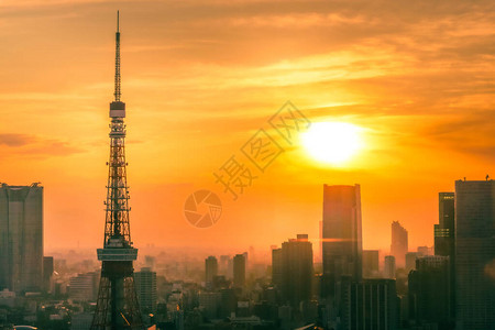 东京塔和东京天际线当晚参考图片