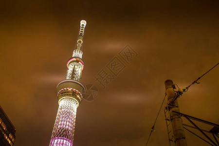 东京晴空塔的灯光夜景图片