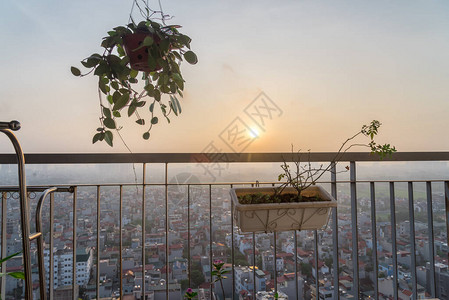 越南河内高楼公寓的典型阳台景象图片