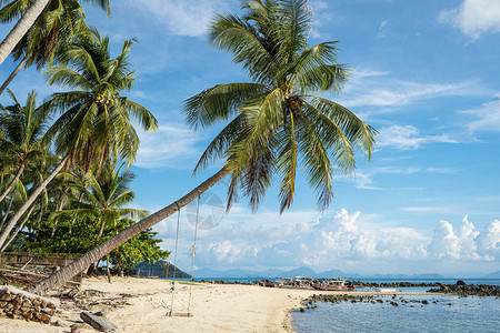 蔚蓝大海的沙滩海浪和摇摆的棕榈树图片