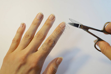 指甲剪刀的指甲修指甲在白图片