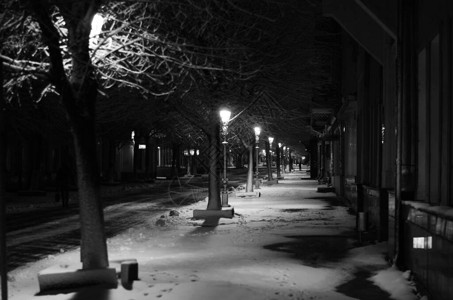 城市公园小巷的夜间冬季景观图片