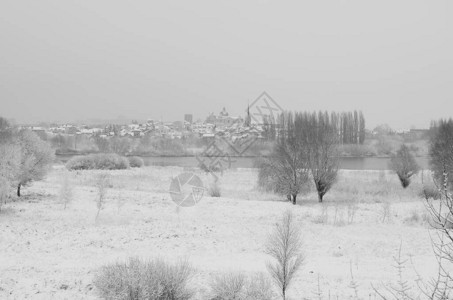 雪景冬天覆盖木材霜视图图片