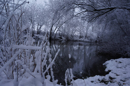 冬天的河流和白霜覆盖的树枝图片