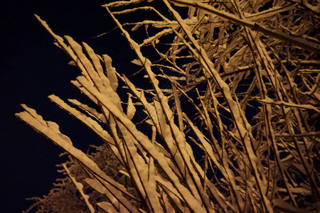 白雪皑的冬季城市在夜晚图片