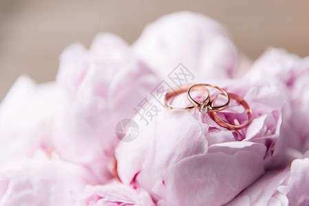 在桃红色牡丹背景的结婚戒指图片