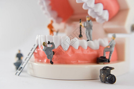 微型人修复牙齿或小人物工人清洁牙齿模型作为医疗和保健清洁牙科护理图片