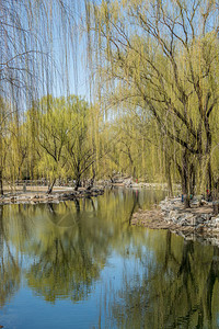 春在首府北京的旧夏日图片