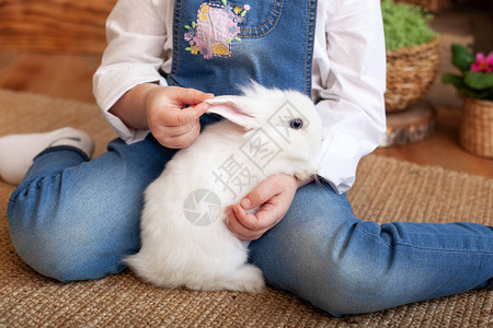 小女孩抱着可爱的毛茸的兔子图片