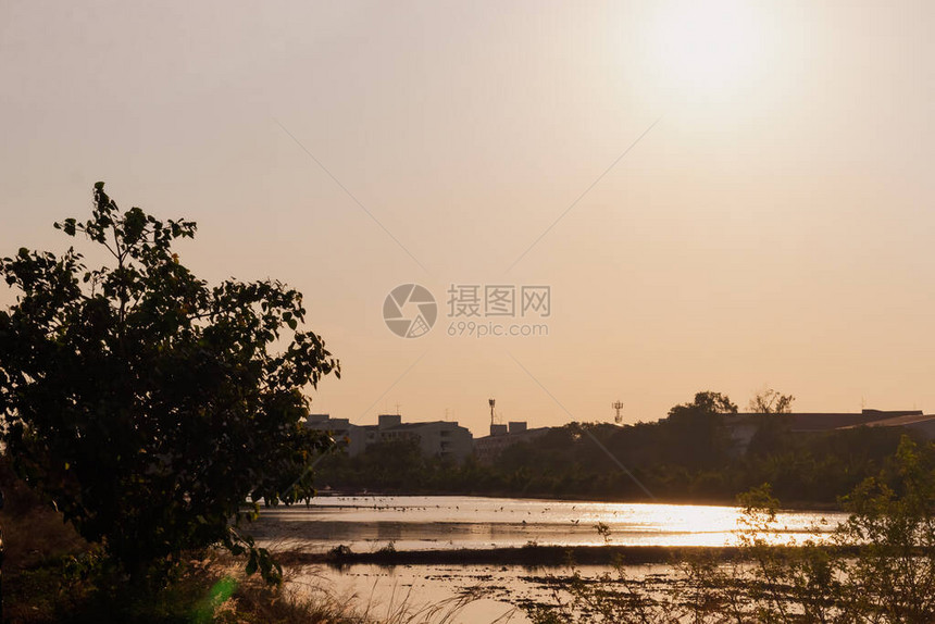 傍晚日落后稻田的逆光照片图片