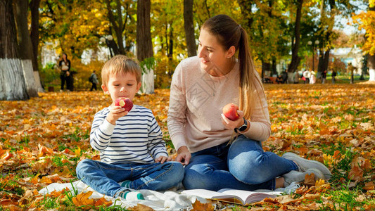 小男孩美丽的小毛孩坐在秋天公园的地上图片