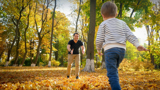 可爱的小男孩在秋天公园图片