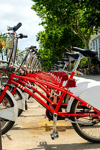 许多红色自行车城市自行车整齐地排列并准备出租图像显示细节图片