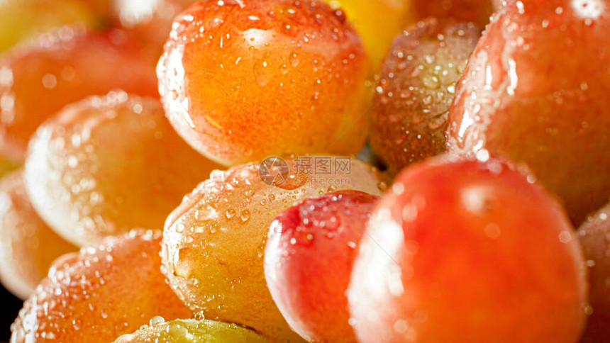 明亮的太阳光照亮了晨露覆盖的成熟葡萄上水果和浆果的简要背图片