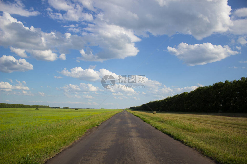 西伯利亚农村绿地道路美丽的国图片