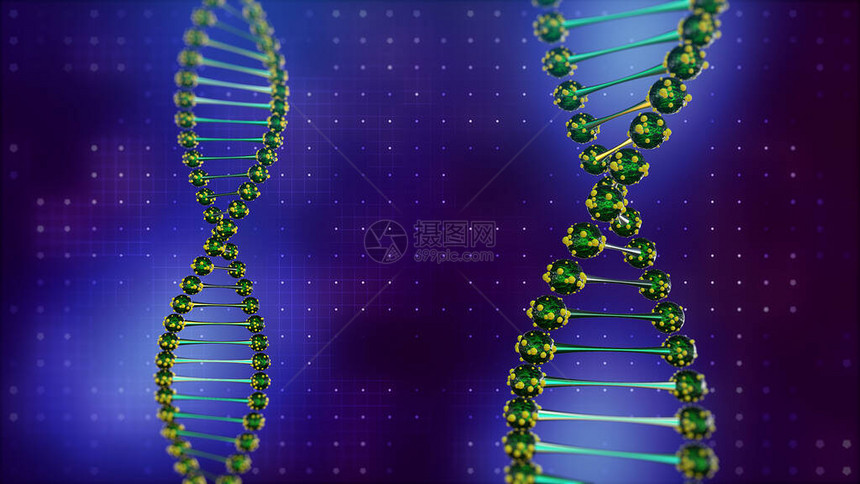 2个DNA双螺旋图片