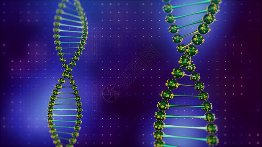 2个DNA双螺旋图片