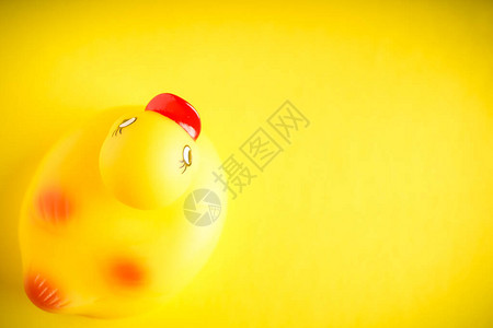 黄色背景上的黄色橡胶鸭图片