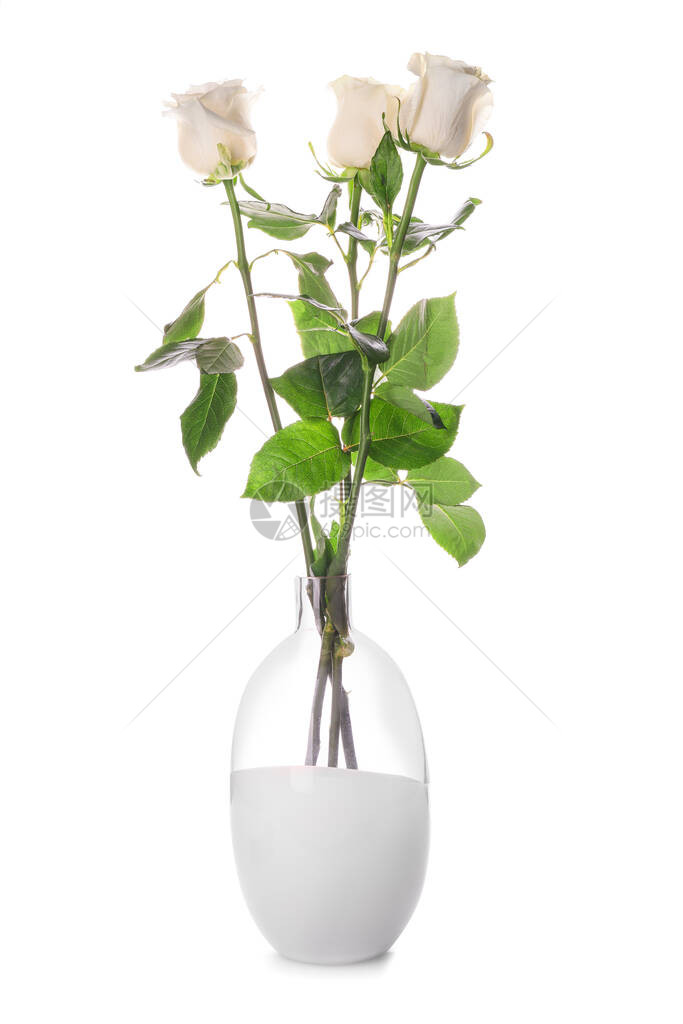 白色背景的花瓶图片