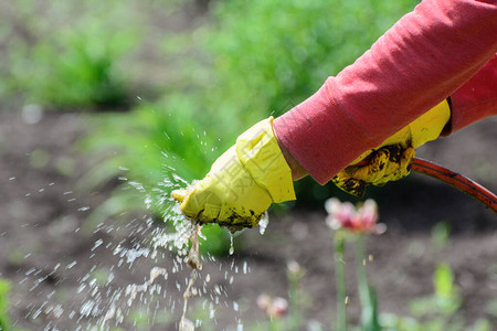 女人洗灌溉水管的手套概念图片
