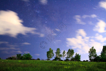 年轻的绿色森林的夏日风景与明亮的蓝天图片