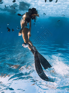 穿比基尼的自由潜水女孩有鳍滑翔在蓝图片
