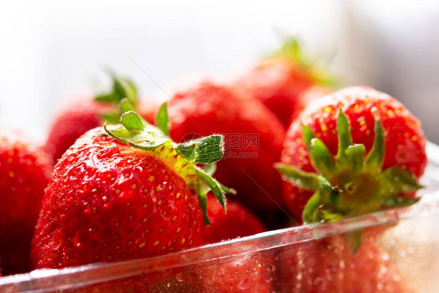 塑料容器中的草莓特写有选择的焦点新鲜多汁的草莓草莓的收获带有水滴的浆果阳光图片