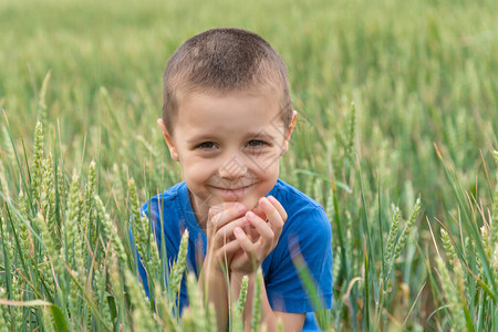 小麦田的可爱小农夫小麦田的图片