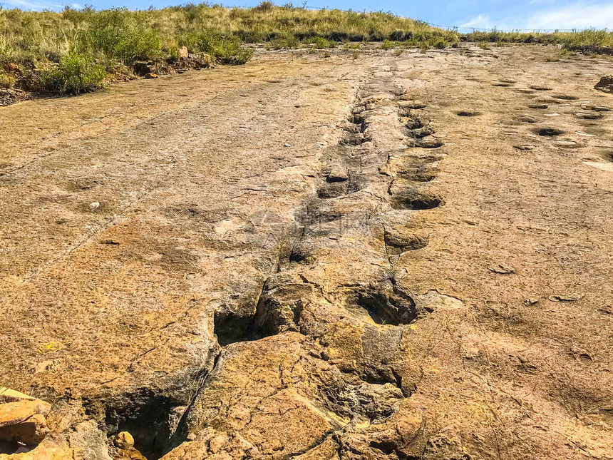 波托西玻利维亚大ToroToro公园谷地岩石中的AnkylosaurDino图片