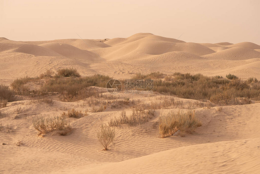 撒哈拉沙漠中美丽的沙丘突图片